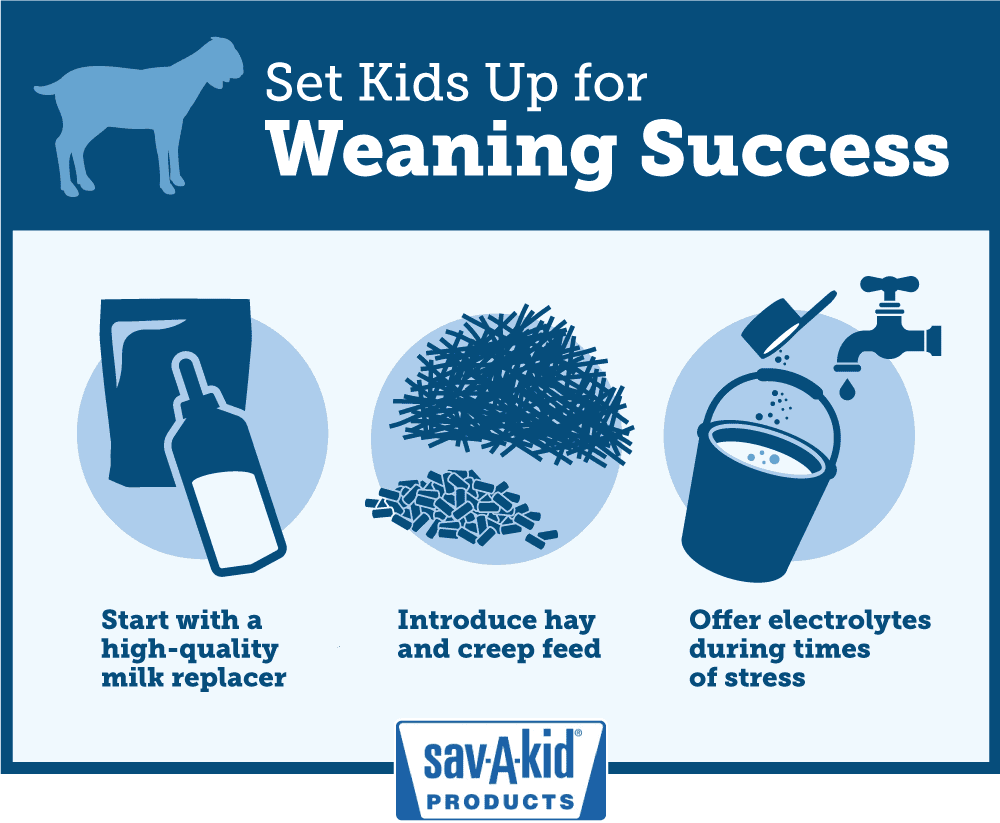 weaning start for life